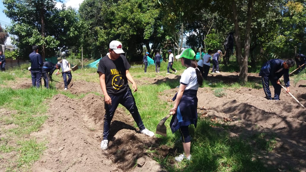 UE_SVP_PARTICIPACION_ESTUDIANTIL(1)